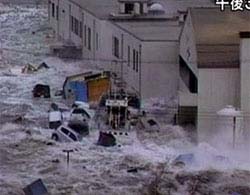 Tsunami comes to America