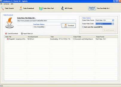 Tube Master - Tool to download video clips from video sharing websites