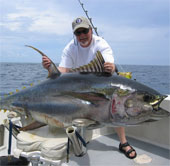 Tuna fishing by new methods increases productivity