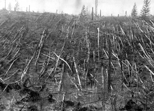 Tunguska event mystery