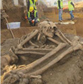 Turkey discovered human bones for 8,500 years