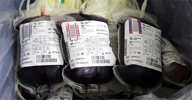 Turn any blood group into O thanks to ... bacteria