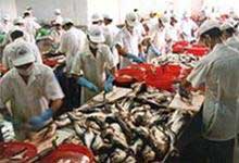 Turn fish fat into biodiesel