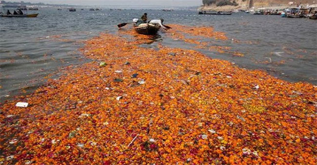 Turn flower away into perfume, soap, organic fertilizer