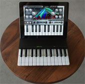 Turn iPad into mini piano