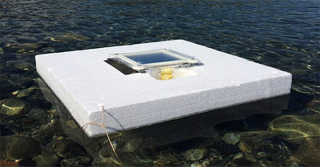 Turn seawater into fresh water at a super cheap cost