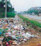 Turn sludge, garbage into synthetic organic fertilizer