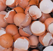 Turn the eggshell into a ceramic
