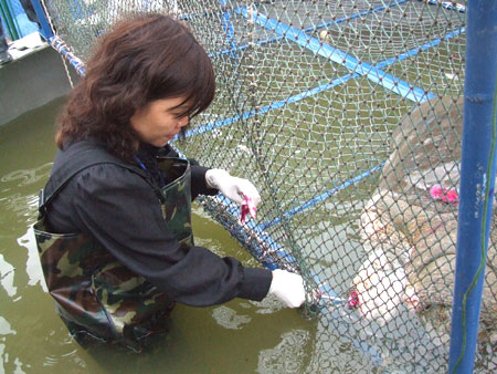 Turtle tools will be fitted with navigation devices before releasing them to Sword Lake
