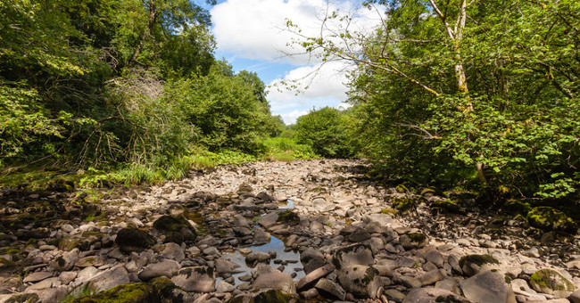 Two more rivers disappeared after only one night in Mexico