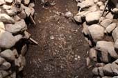 Two skeletons embracing each other in the ancient tomb