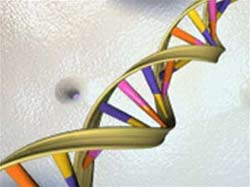Two types of genes involved in myocardial infarction