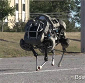 Types of robots inspired by animals