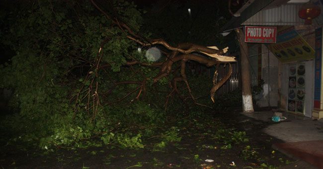 Typhoon Mirinae in Nam Dinh - Ninh Binh