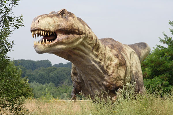 Tyrannosaurus has tens of times the bite