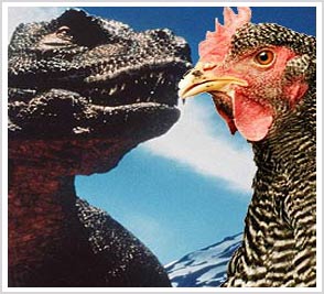 Tyrant dinosaurs are brothers with chickens
