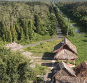 U Minh Thuong National Park becomes an ASEAN Heritage Garden