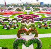 UAE opened the world's largest flower garden