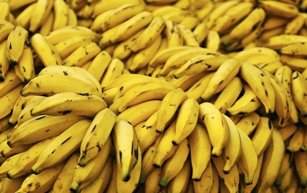 Uganda successfully studied bananas rich in nutritious carrots