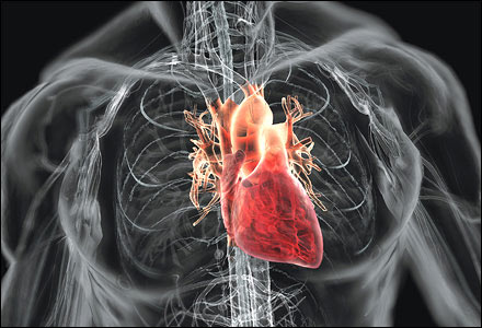 Ultrasound inside the coronary arteries