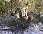 UN said the deforestation rate slowed