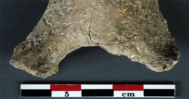 Unbelievable ways of healing from the Stone Age