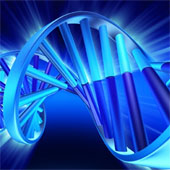 Underground password in DNA