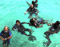 Underwater government meeting
