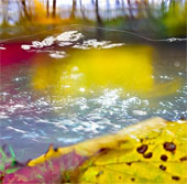 Underwater photography techniques make you squint