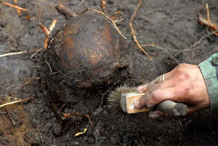 Unearth 350 skeletons of Napoleon soldiers