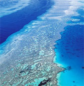 UNESCO warned of the Great Barrier Reef