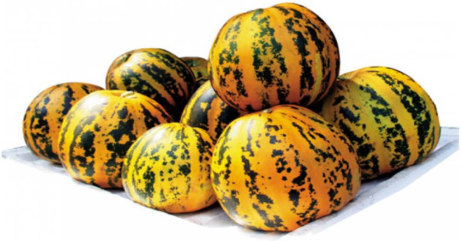 Unexpected benefits from melon with every home's health