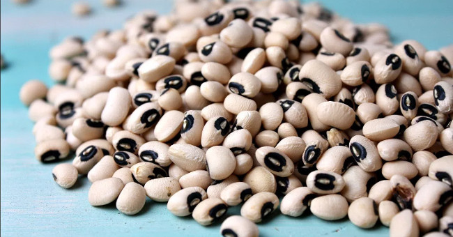 Unexpected discovery of ancient Peruvian food 15,000 years ago