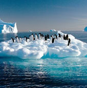 Unexpected discovery of the thickness of the Antarctic ice sheet