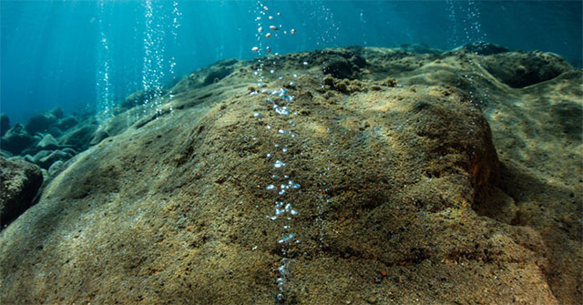 Unexpected discovery of what makes life on Earth