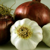 Unexpected effects from onions, garlic
