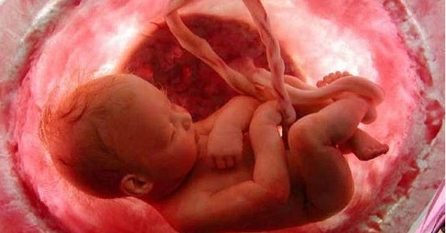 Unexpected events happen when you are in the womb