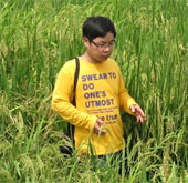 Unexpected record of cotton of thousand grains