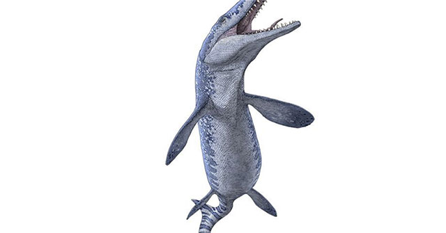 Unexpectedly found fossil ancient sea monsters when exploiting gems