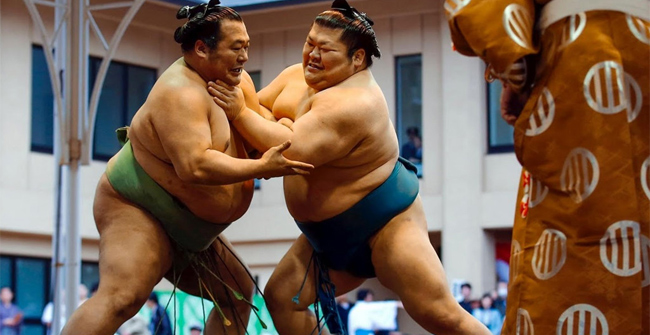 Unexpectedly, sumo wrestler flesh touches 'cruel' like this