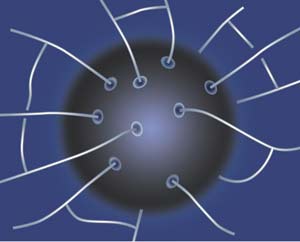 Unified trends in physics
