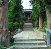 Unique architecture of the Cat mansion
