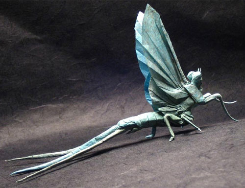 Unique insect collection by ... paper