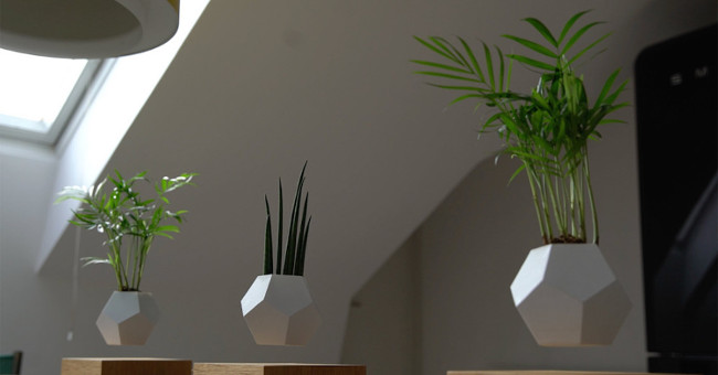 Unique project helps to plant trees in mid-air
