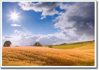 Universal energy: Future energy source