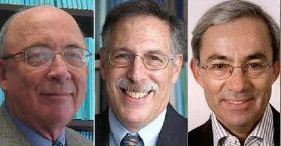 Unknown things about the 2010 Nobel Prize in Economics