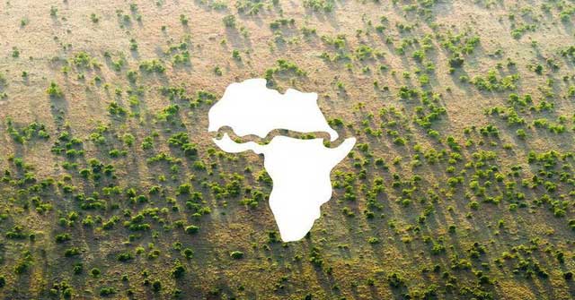 Unprecedented in Africa: The giant green 'wall' is over 8,000km long stretching across 20 countries