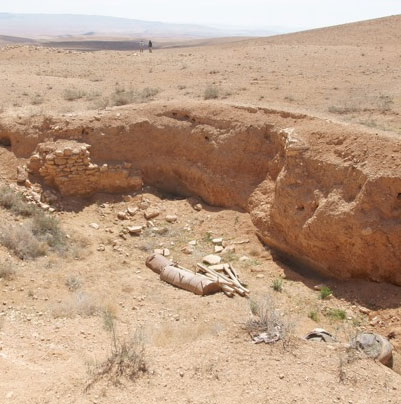 Unravel the mysteries of the ancient city of Palmyra