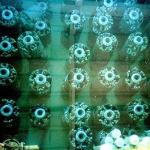 US: Call for recycling nuclear fuel