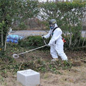 US - Japan cooperates to monitor radiation